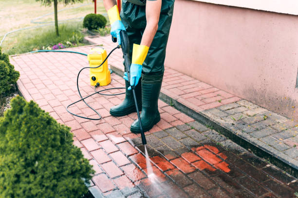 Boat and Dock Cleaning in Scottsville, NY